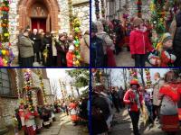 Konkurs na najpiekniejszą palmę