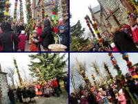 Konkurs na najpiekniejszą palmę