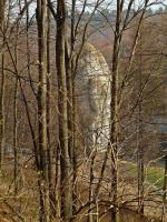 Pomiędzy drzewami widzimy Maczugę Herkulesa