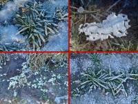 Zamarznięte skarby...