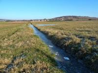 Woda zebrana w rowie była zamarznięta