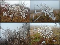 Koperkowe królestwo