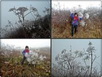 Koperkowe królestwo