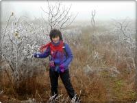 Koperkowe królestwo