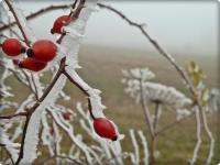 Żegnamy "koperkowy raj" i wędrujemy dalej