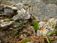 Szadziowe skarby na Zelejowej