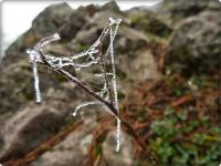 Szadziowe skarby na Zelejowej