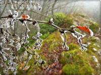 Szadziowe skarby na Zelejowej