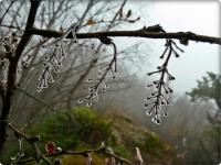 Szadziowe skarby na Zelejowej