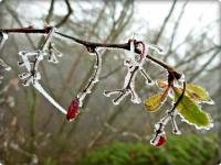 Szadziowe skarby na Zelejowej