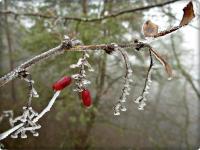 Szadziowe skarby na Zelejowej