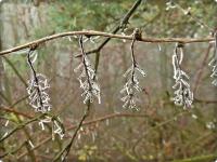 Szadziowe skarby na Zelejowej
