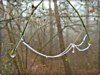 Szadziowe skarby na Zelejowej- znowu pajęczynka- było ich pełno