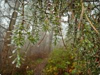 Żegnaj bajkowa kraino...