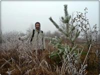 Adrianek zachwyca się igiełkami sosny- jeszcze nie wie, że za kilka minut zostanie bajkowym królem