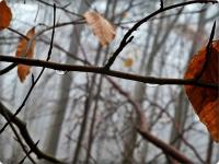 Tu powiem w sekrecie: dziwnym trafem, na tej wyprawie, nie zaginęliśmy w akcji, mimo całego zaaferowania bajkową krainą;-)))