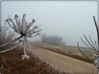 Tu się zaczyna "państwo w państwie" czyli "koperkowy raj"