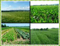 PIELGRZYMKA PRZYGODY NA GÓRĘ WITOSŁAWSKĄ...