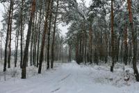 Na trasie rajdu walentynkowego   fot. AŚ