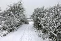 Na trasie rajdu walentynkowego-  fot. AŚ