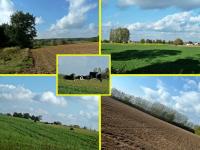 Na Kujawach jest bardzo pięknie- kolejne widoczki