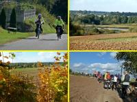 Złota polska jesień