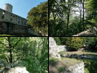 Rezerwat przyrody LIPOWIEC