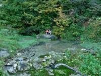 WYWIERZYSKO, źródło krasowe- tu wypływ na powierzchnię ziemi woda płynących w skrasowiałych skałach