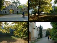 MIŁOSZOWA- ZESPÓŁ PAŁACOWO- PARKOWY