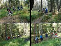 Trudna momentami droga przez las