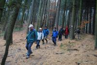 z Telegrafu urwałem się...