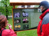 podsumowanie wiedzy na tablicy