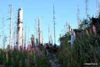 I ruszamy na wielokilometrowe podejście...