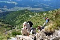 Krywań żwawo atakowały także zakonnice