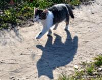 ... raz dwa lewa, raz dwa lewa...