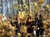 deszcz złotch liści