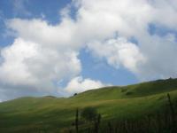 W drodze na przełęcz Orłowicza