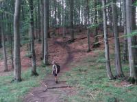 Szlak na Dwernik Kamień