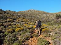 Wędrówka w stronę Chanii