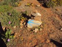 Oznakowanie szlaku :)