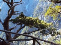 Widok z Drewnianych Schodów