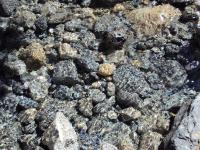 Krystaliczna woda w potoku