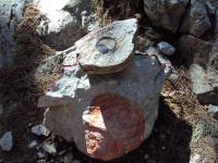 Kogoś poniosła artystyczna fantazja :)