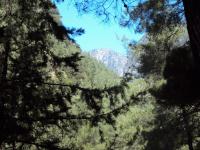 Wąwóz Samaria, w tle Góry Białe 