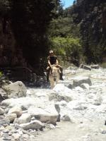 Strażnik na osiołku 