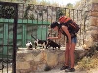 Koteczki :) Jest ich tu baaaaaaardzo duuużo :)