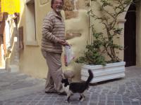 Kotek liczy na jedzonko