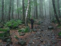 W drodze na Ślężę