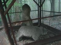 Kamienna rzeźba pozbawiona głowy i nóg, przedstawia człowieka odzianego w długą szatę, oburącz trzymającego wielką rybę. 