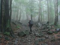 W drodze na Ślężę